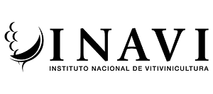 LLAMADO A ELECCIONES PARA DIRECTORIO DE INAVI