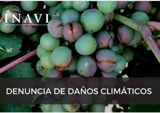 DECLARACIÓN DE DAÑOS CLIMÁTICOS