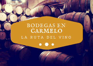 BODEGAS DE CARMELO