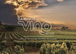 EN FOCO: LOS CAMINOS DEL VINO